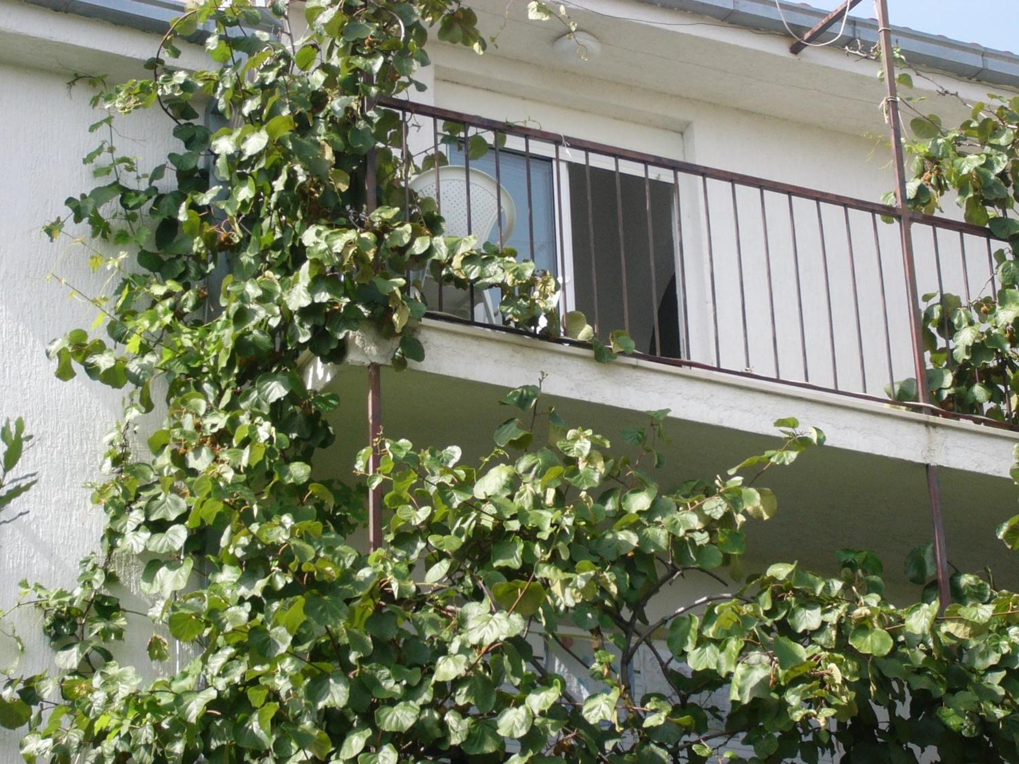 Apartments Prizmic Podstrana Luaran gambar