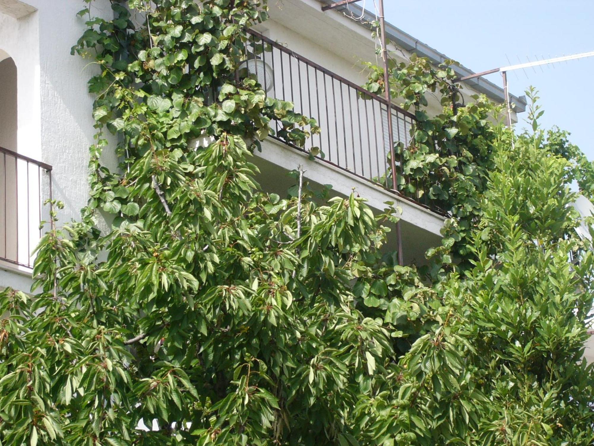 Apartments Prizmic Podstrana Luaran gambar